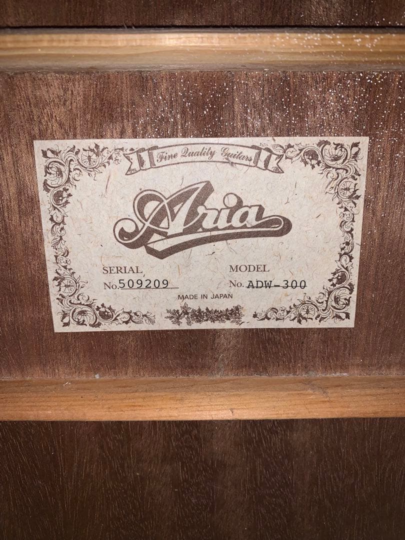 Aria ADW-300 日本製 ジャパンビンテージ 牛骨ナット 低弦高 美品