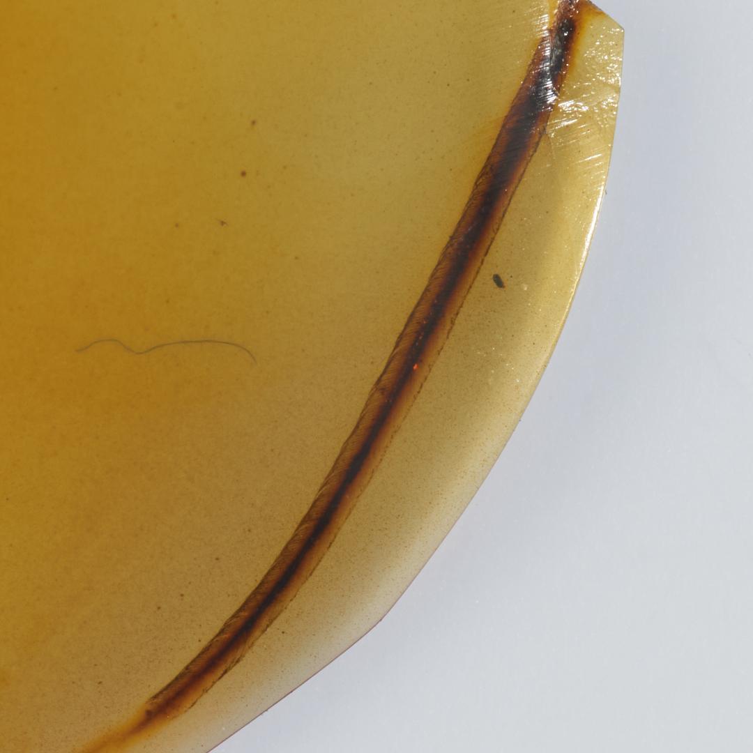 レア極上品 PA0049虫入り琥珀化石　ミャンマーカムティかタナイ9900万年前