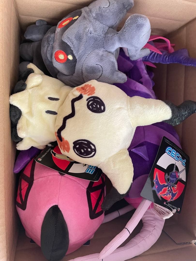 【タグ付き美品】ガチ勢が選んだポケモンアローラ地方福袋