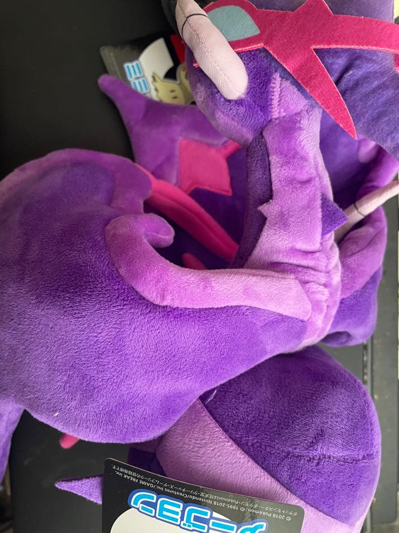 【タグ付き美品】ガチ勢が選んだポケモンアローラ地方福袋