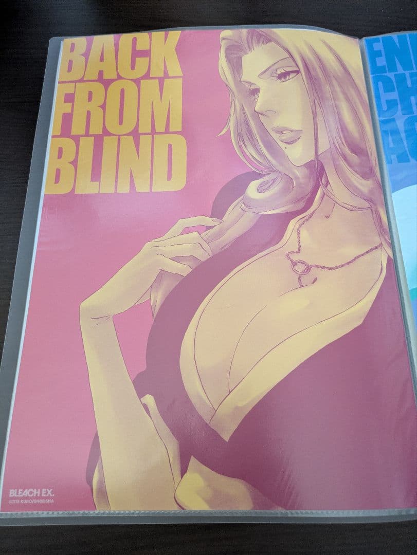 BLEACH　Ａ3ポスターセット