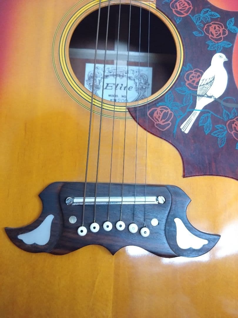 アコースティックギター　EliteTAKAMINEGAKKI HM200