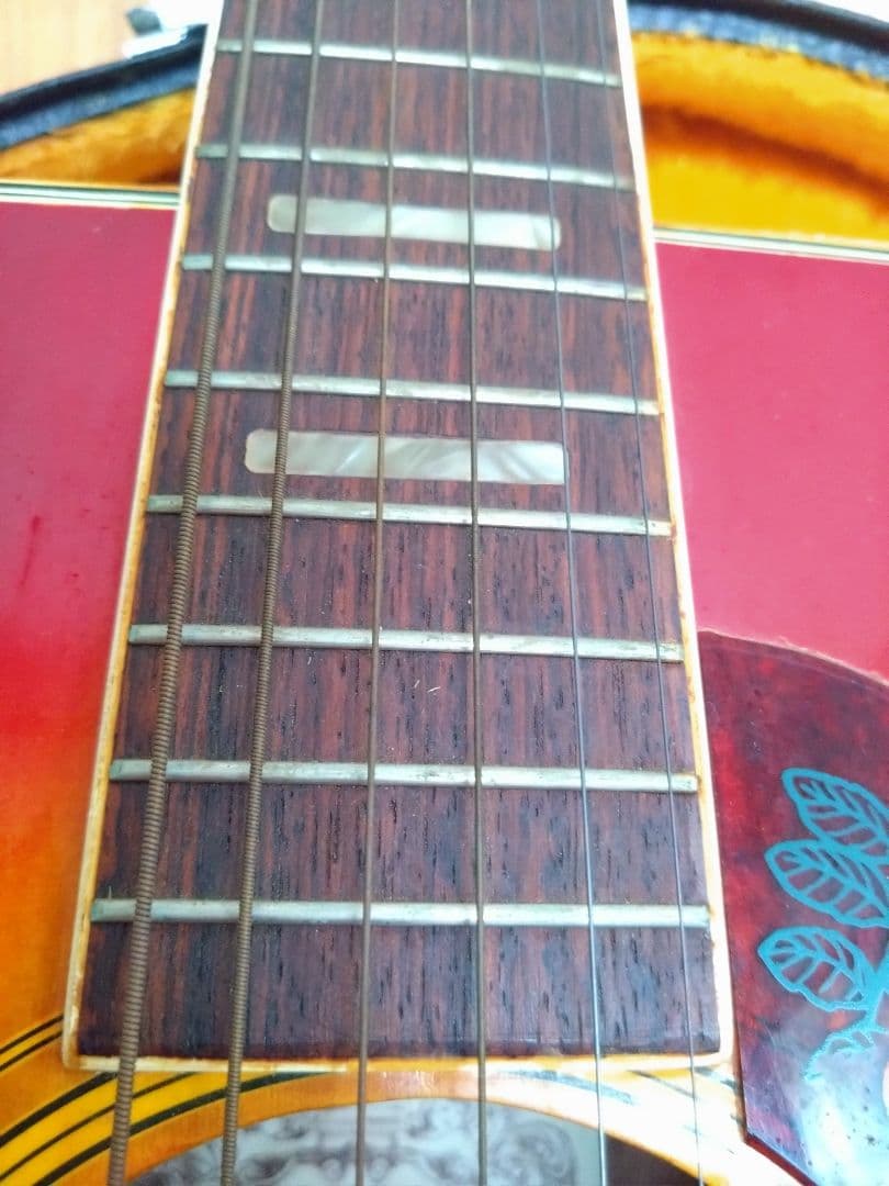 アコースティックギター　EliteTAKAMINEGAKKI HM200