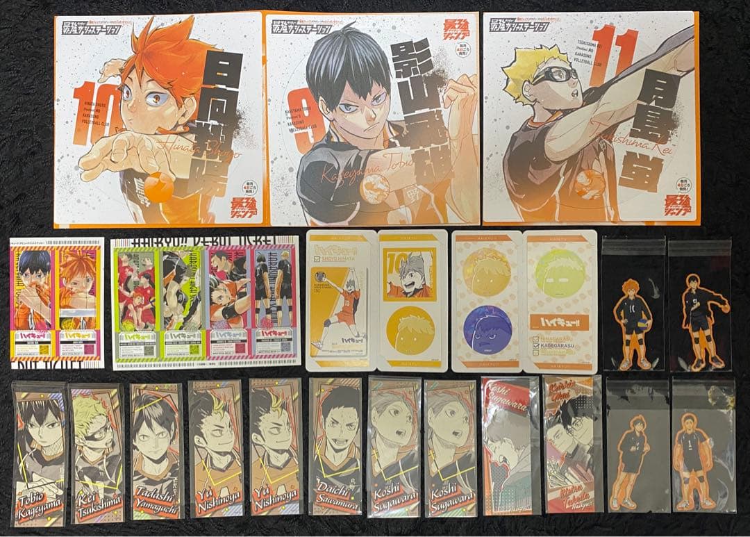 ハイキュー 日向翔陽 影山飛雄 月島蛍 山口忠 澤村大地 菅原孝支 烏野