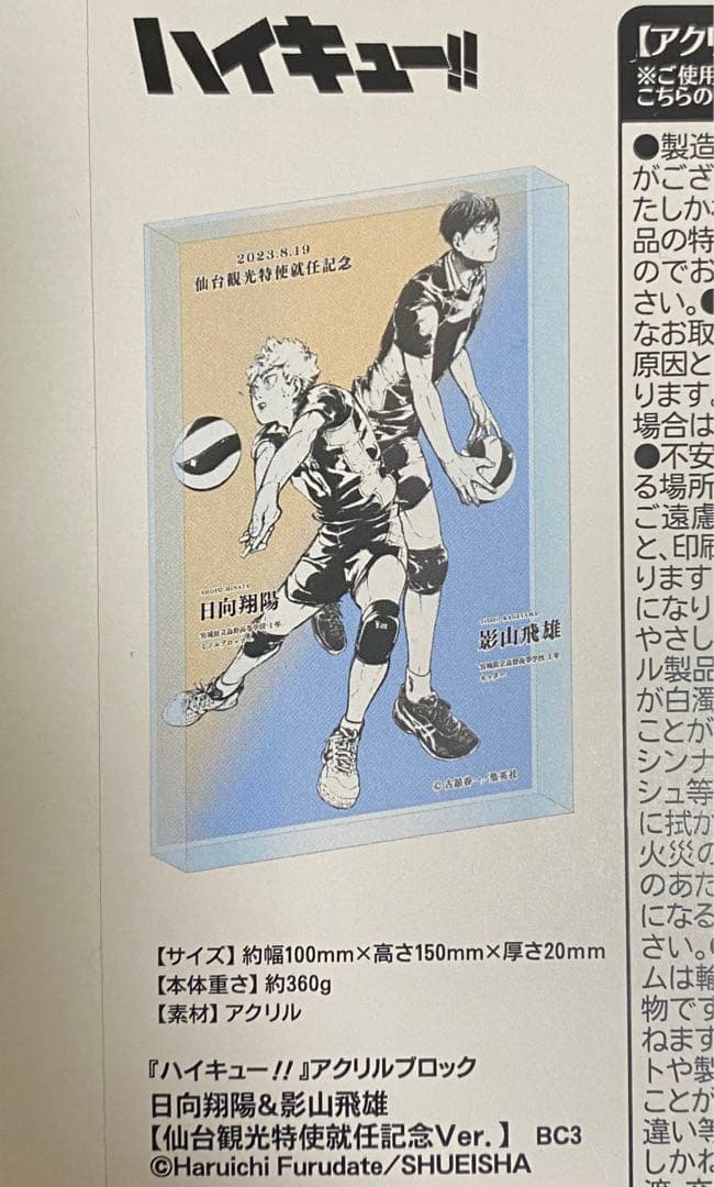 ハイキュー 日向翔陽 影山飛雄 月島蛍 山口忠 澤村大地 菅原孝支 烏野