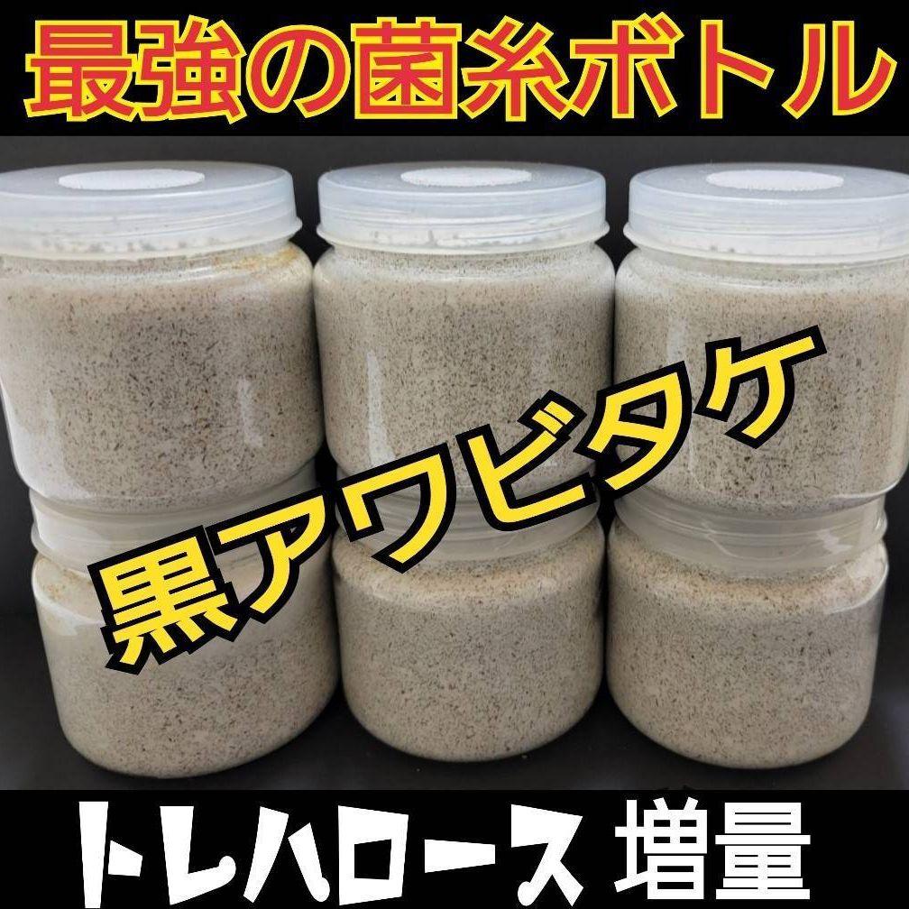 極上！黒アワビタ菌糸瓶【8本】初令、2令に最適な500ml☆小型の色虫にもお薦め