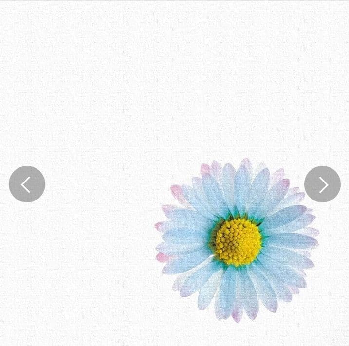 アートデリ 花のファブリックボード poht-2205-06 つ179