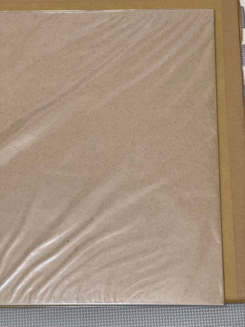 ポケモン　浮世絵木版画　対決かびごん