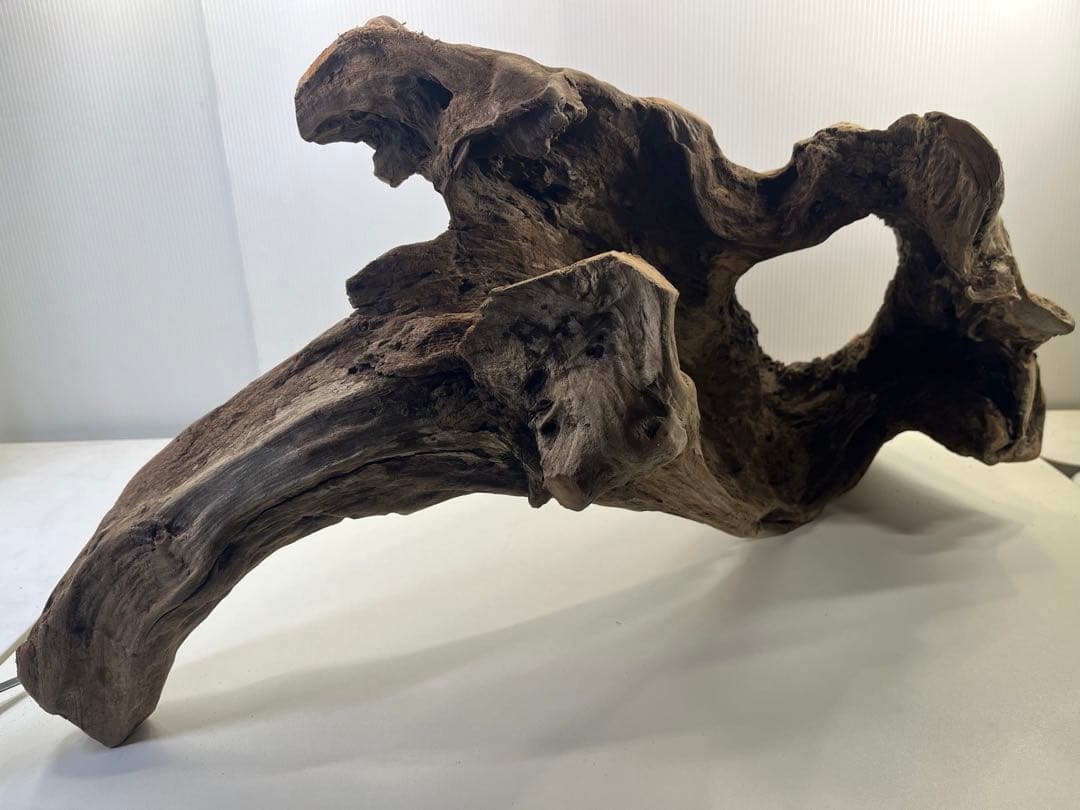 R72特大流木アク抜き済み流木 爬虫類シェルター 登り木 インテリア 生け花