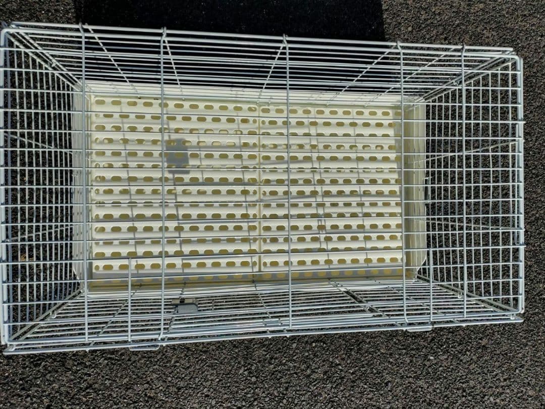 SANKO ケージ イージーホーム エボ　80