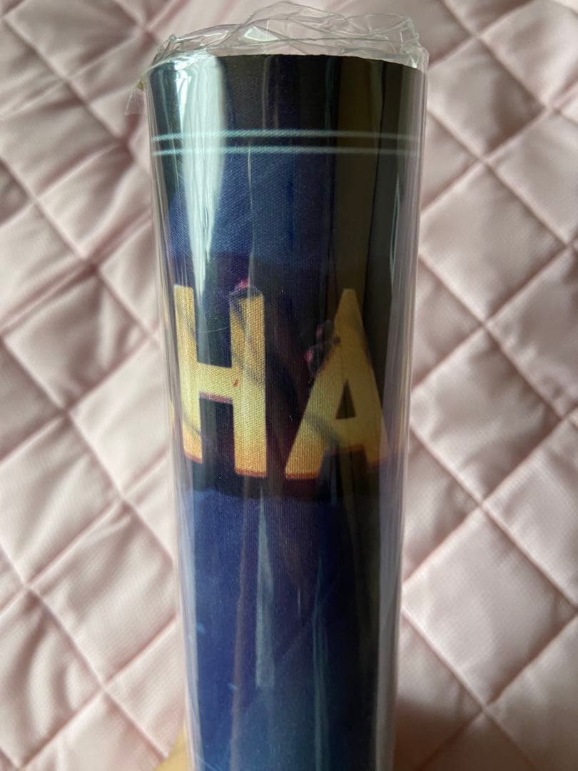 ◆アースラ　セットチャンピオンシップ　CHAMPION ロゴ入り　プレイマット