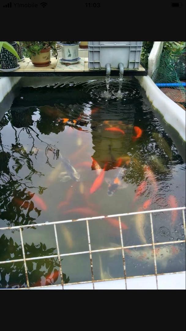 45wポンプ付き三段式濾過装置大型 沈殿物理生物一体型濾過外部式 濾過器水槽濾過