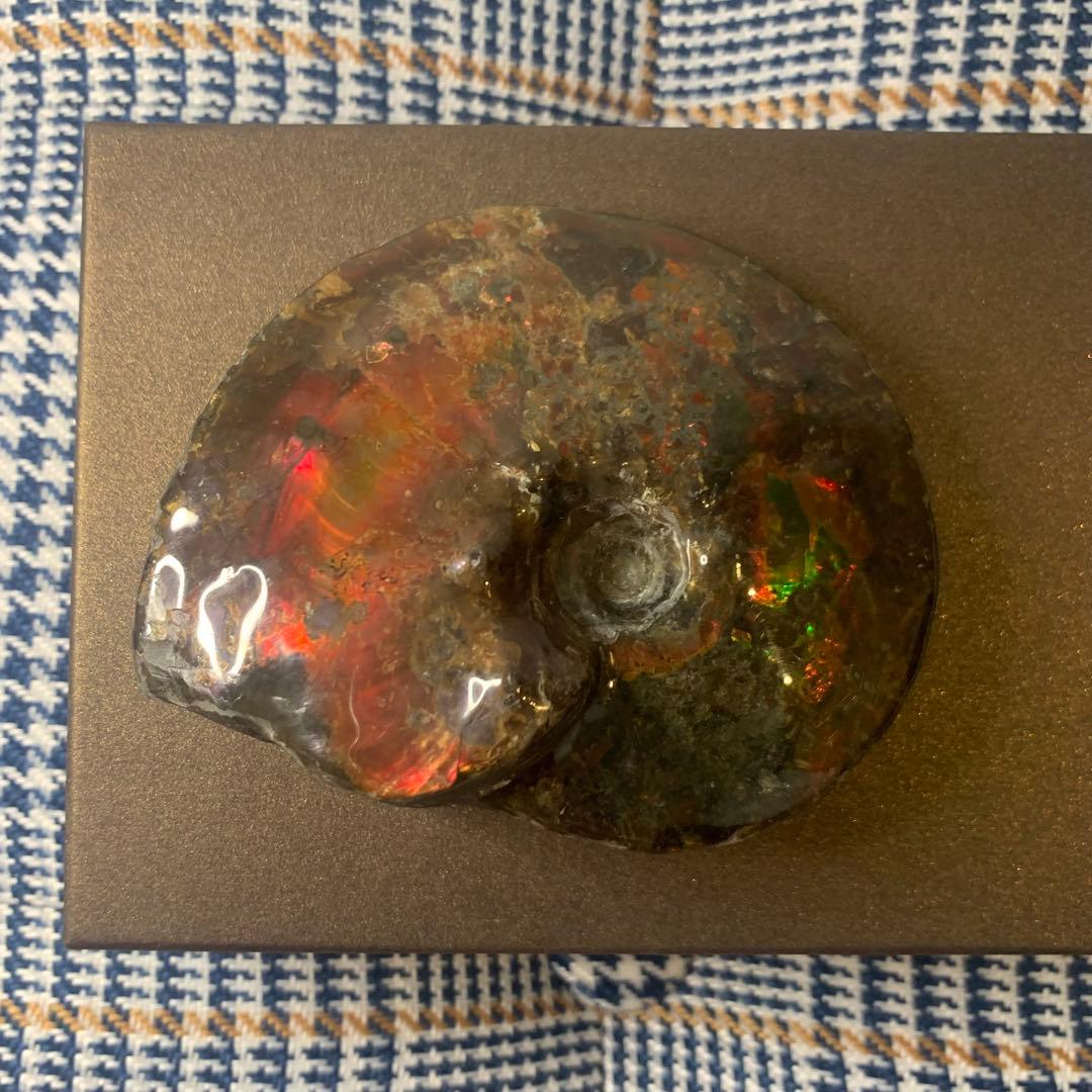 【未使用に近い】アンモライト原石標本　アンモライト研究所　カナダ産　アンモナイト