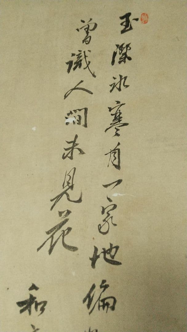 南画家 滝和亭 花鳥画 水仙椿 紙本