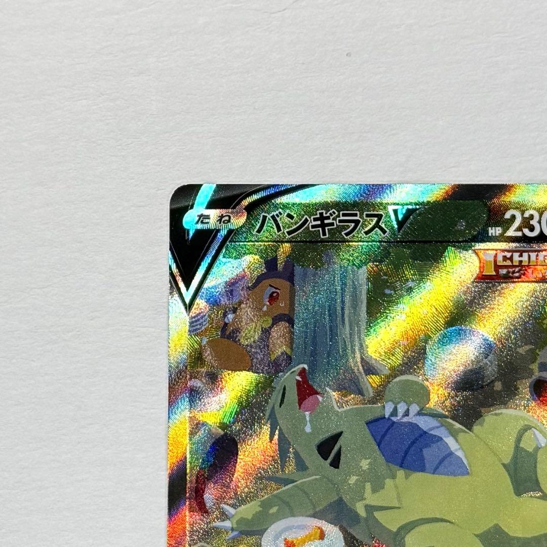 ポケモンカード バンギラスV SA スペシャルアート s5l 077/070