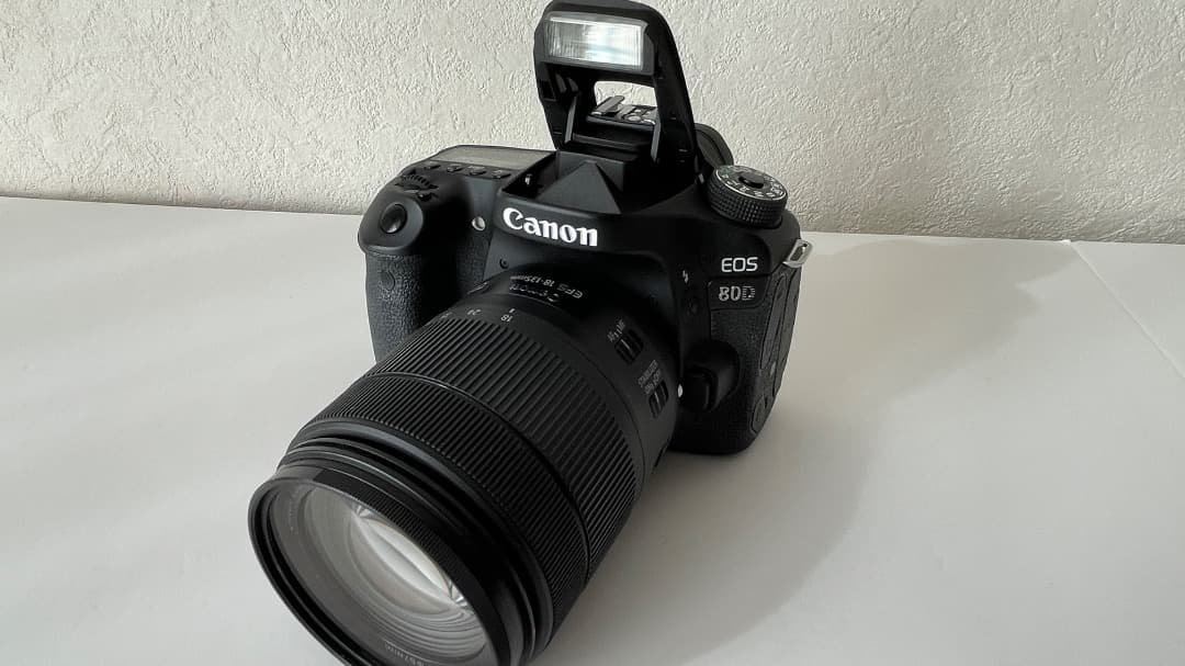 ⭐️美品⭐️ Canon EOS 80D本体＋Wレンズ　バッテリー2個付き