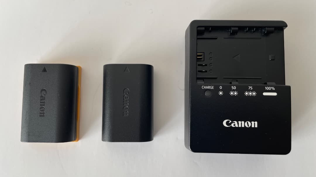 ⭐️美品⭐️ Canon EOS 80D本体＋Wレンズ　バッテリー2個付き