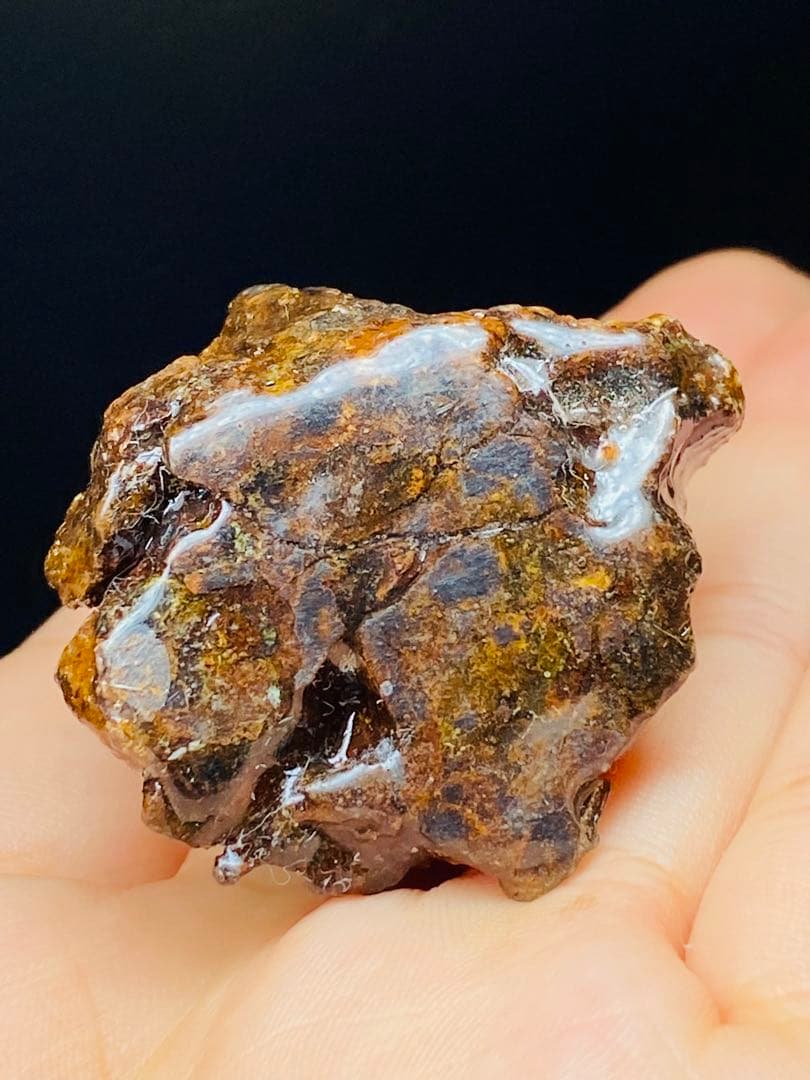 メル24344パラサイト隕石　石鉄隕石　セリコ隕石　原石　コーティング済み