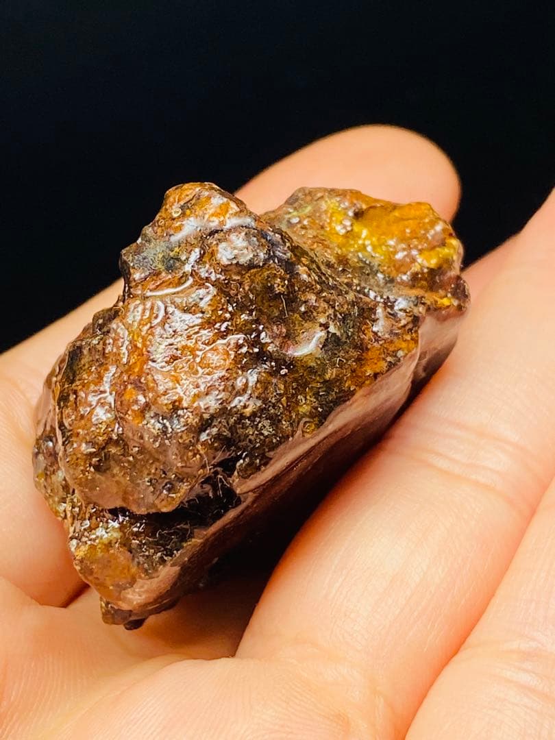 メル24344パラサイト隕石　石鉄隕石　セリコ隕石　原石　コーティング済み