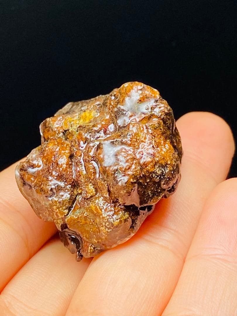 メル24344パラサイト隕石　石鉄隕石　セリコ隕石　原石　コーティング済み