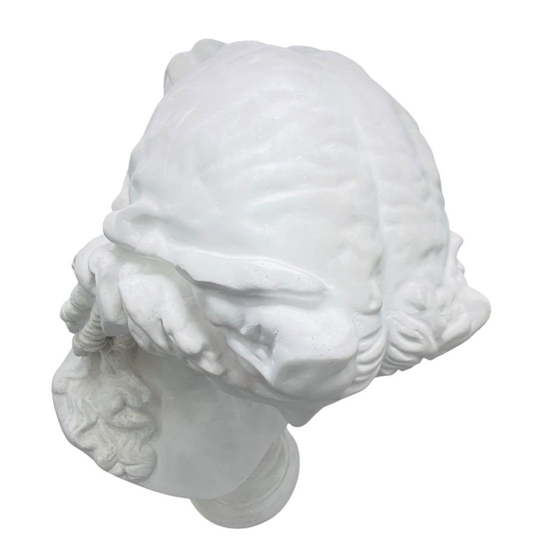 アリアス 石膏像 女神像 胸像 デッサン 美術 モデル インテリア