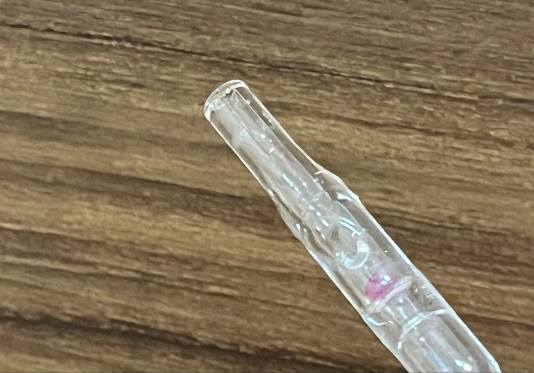 ADA CO2拡散器セット　カボーションルビー