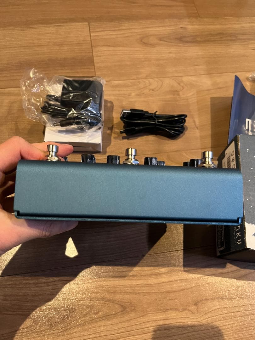 [最終値下げ] strymon nightsky