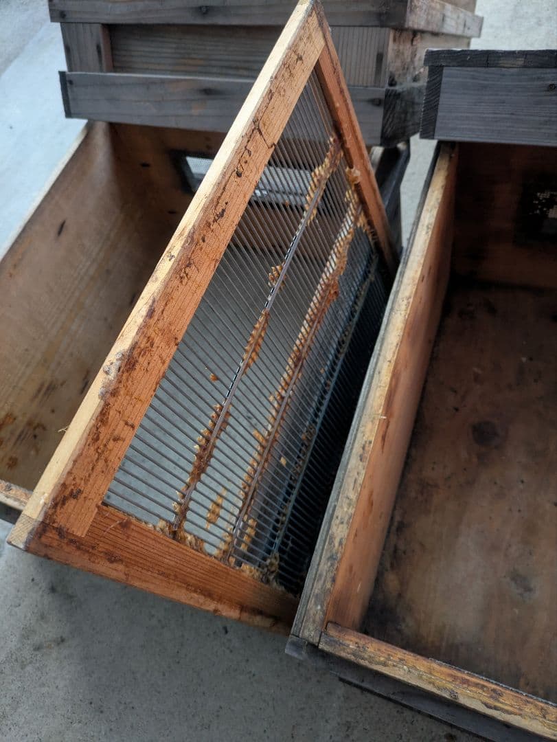 養蜂 器具 セット