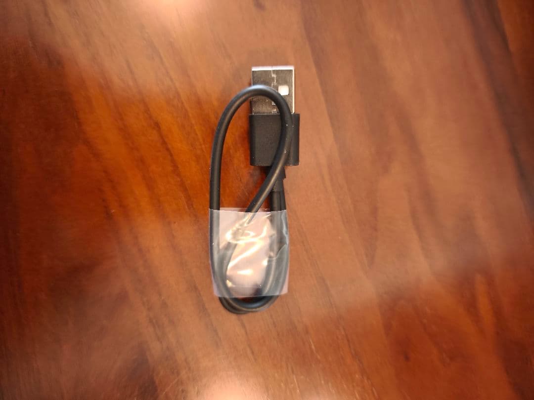 同時通訳ワイヤレスイヤホン　　　　Fineblue C10Ae　　ブラック