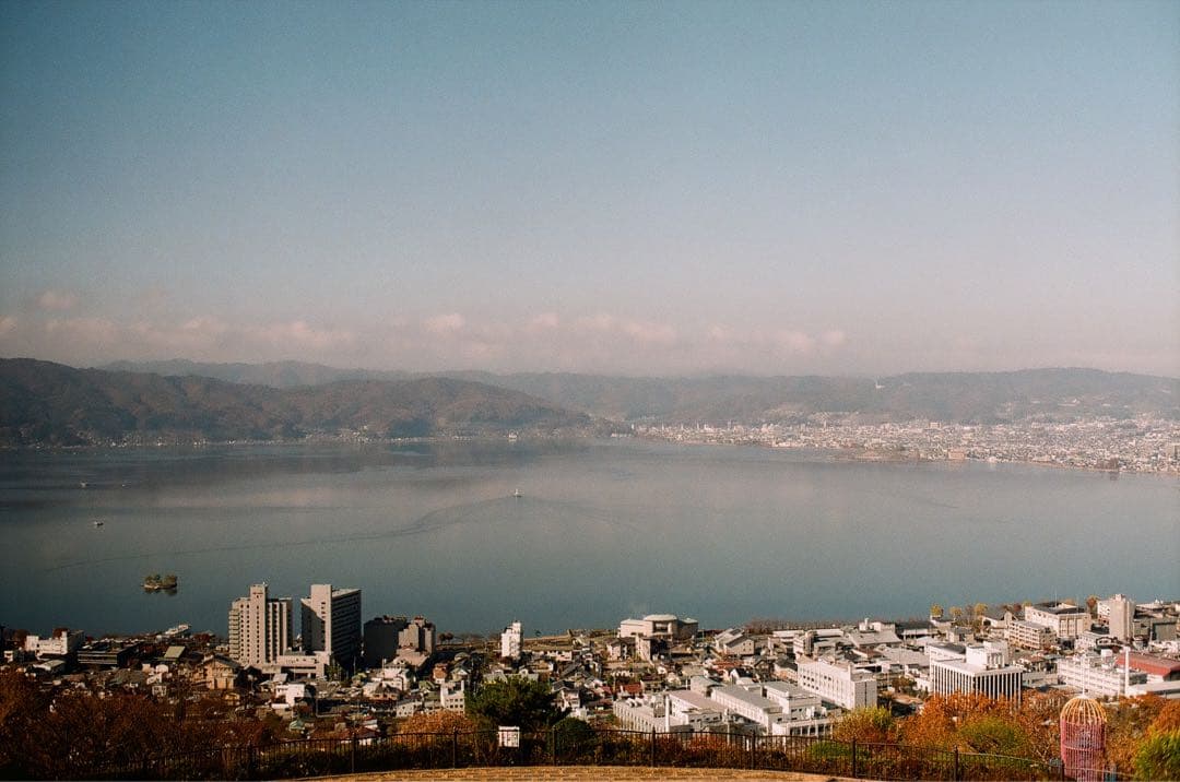 ✴️初心者向✴️シボ革グリーンレザー✴️実写・分解整備済✴️オリンパスPEN EE-3‼️