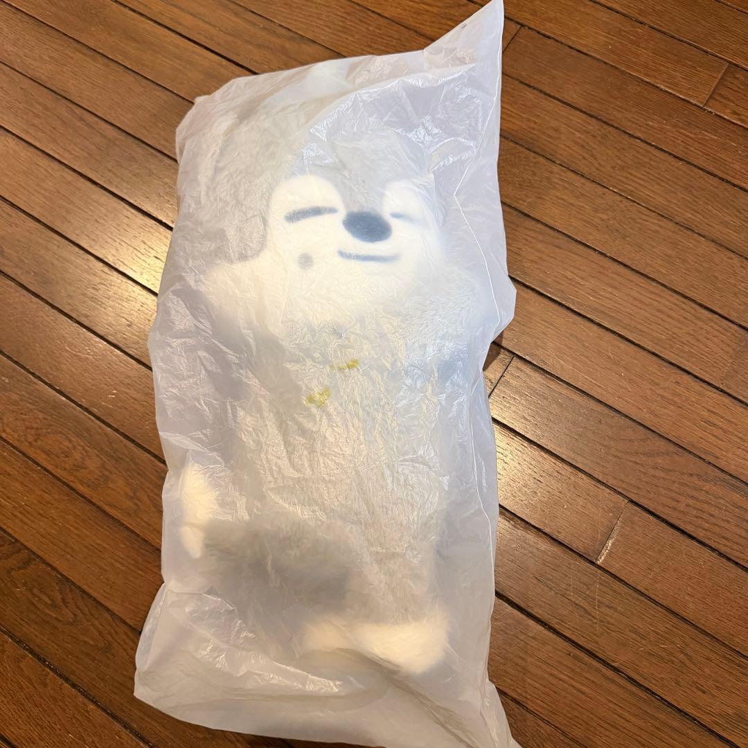 Stray Kids celebrATE プラッシュバッグ ウルフチャン　リスパ