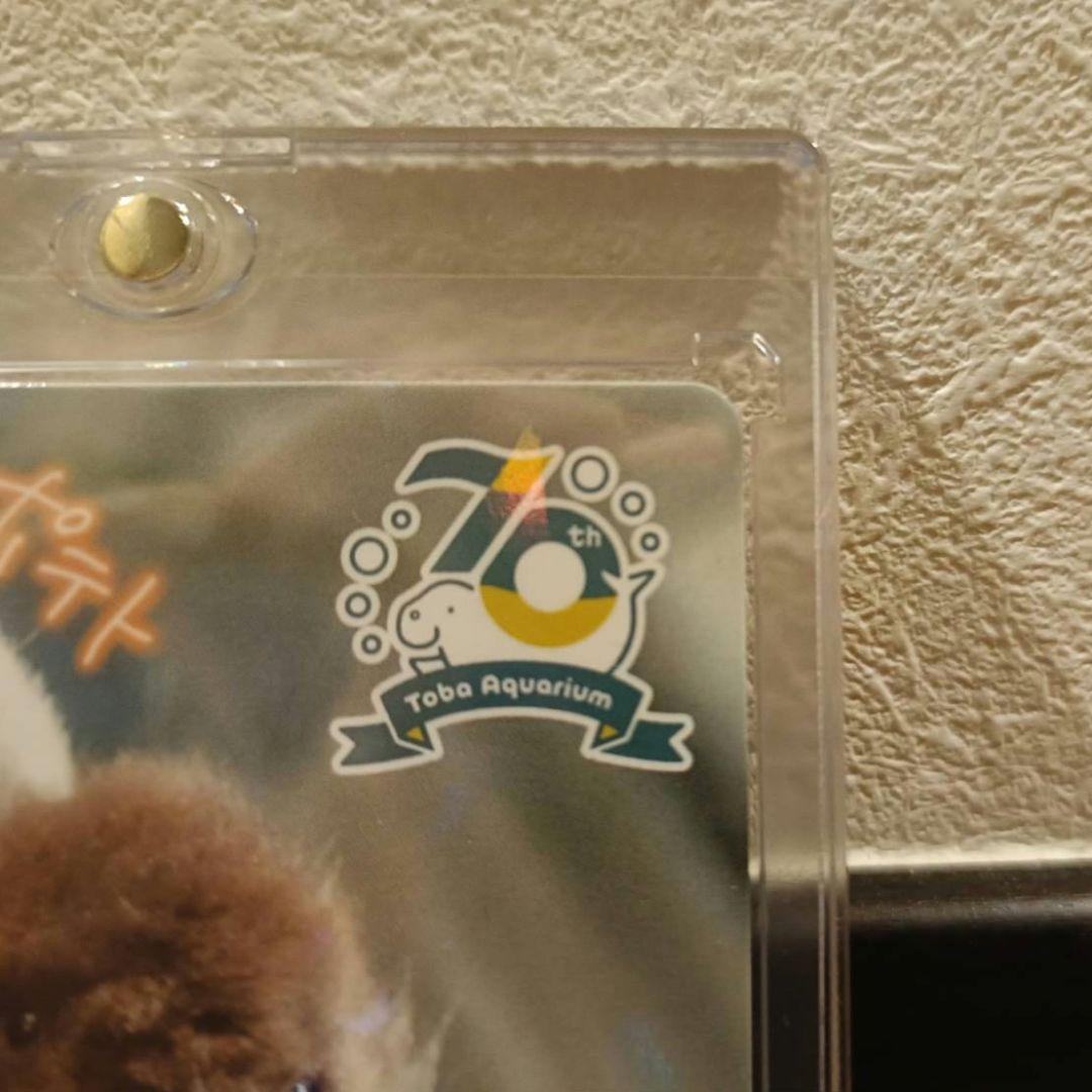 鳥羽水族館　コレクションカード　メイ（レア）　ラッコ　赤ちゃん