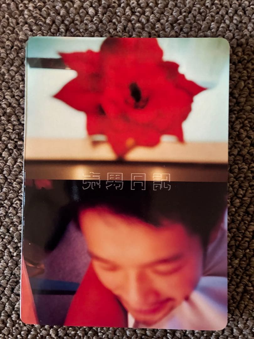 A Whore Diary AKIRA THE HUSTLER 売男日記