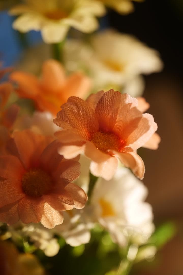 中古レンズLUMIX S 24-105 F4　Lマウント