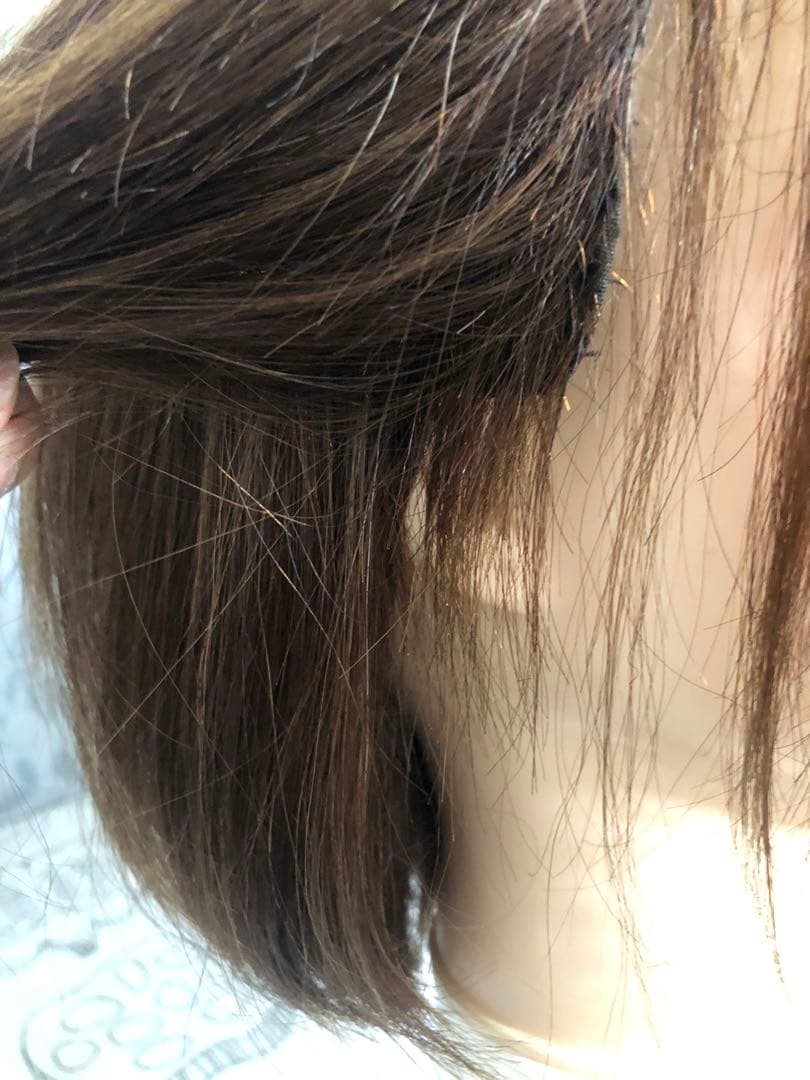 人毛100% ブラウン　ショートボブ 未使用　医療ウィッグ