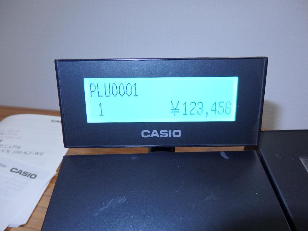 0201 保護フィルム CASIO VX-100 レジスター 最新4.8.6