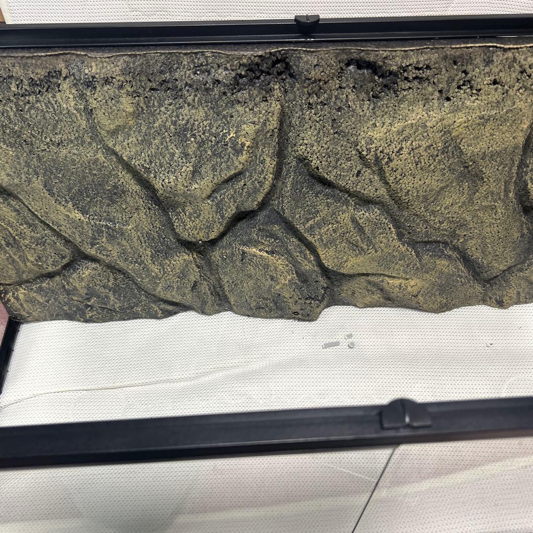 エキゾテラ　グラステラリウム9045