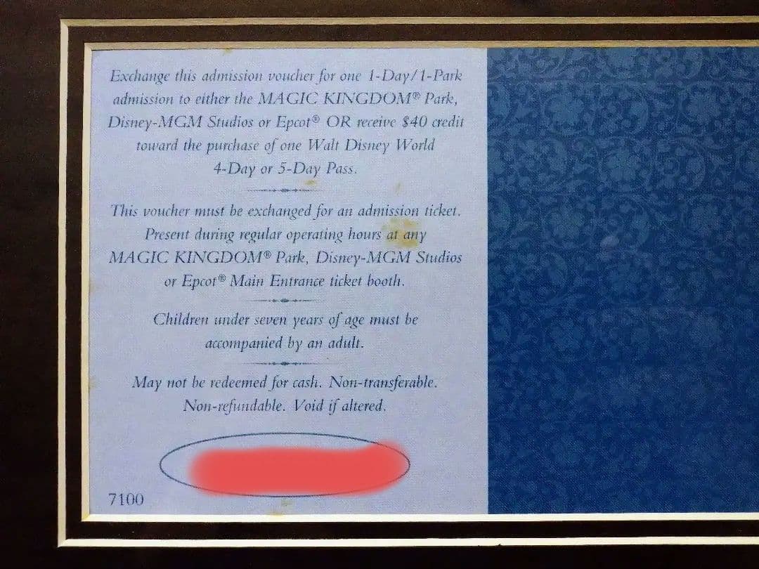 ★WDW★ウォルト・ディズニー・ワールド25周年★記念フレーム★