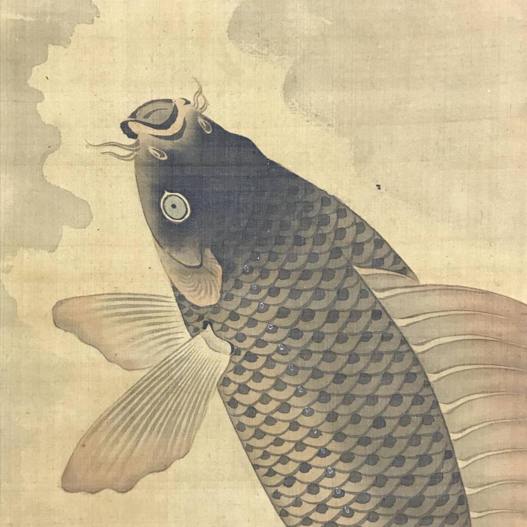 円山応挙/圓山應擧/跳鯉図/コイ図/鯉図/掛軸/名家伝来/AD-768