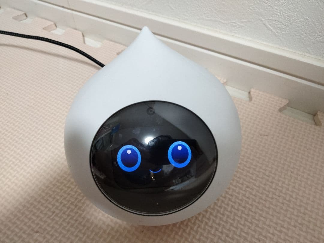 Romi【おしゃべりAIロボット】ロミィ