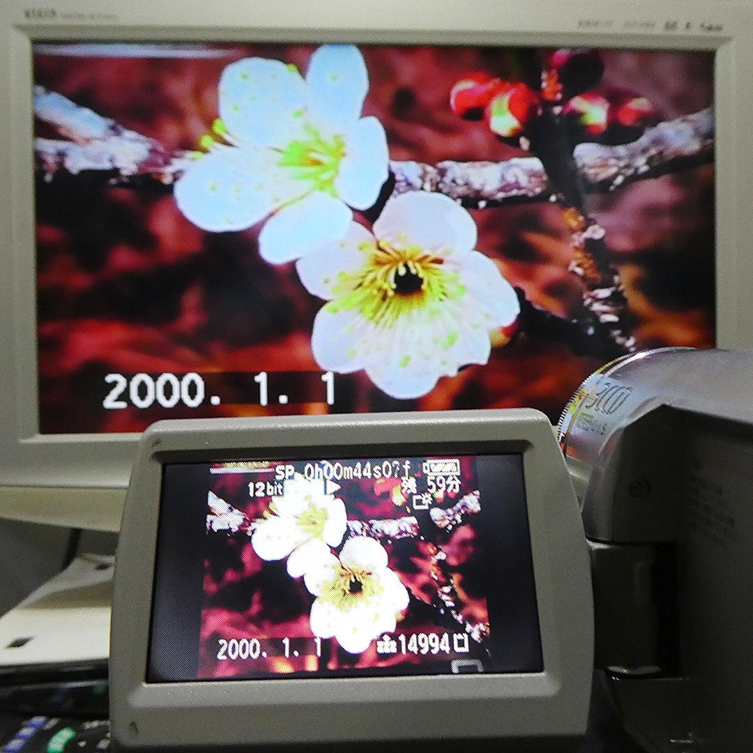 動作品 ソニーDCR-TRV50 MiniDV ビデオカメラ DVDダビングに