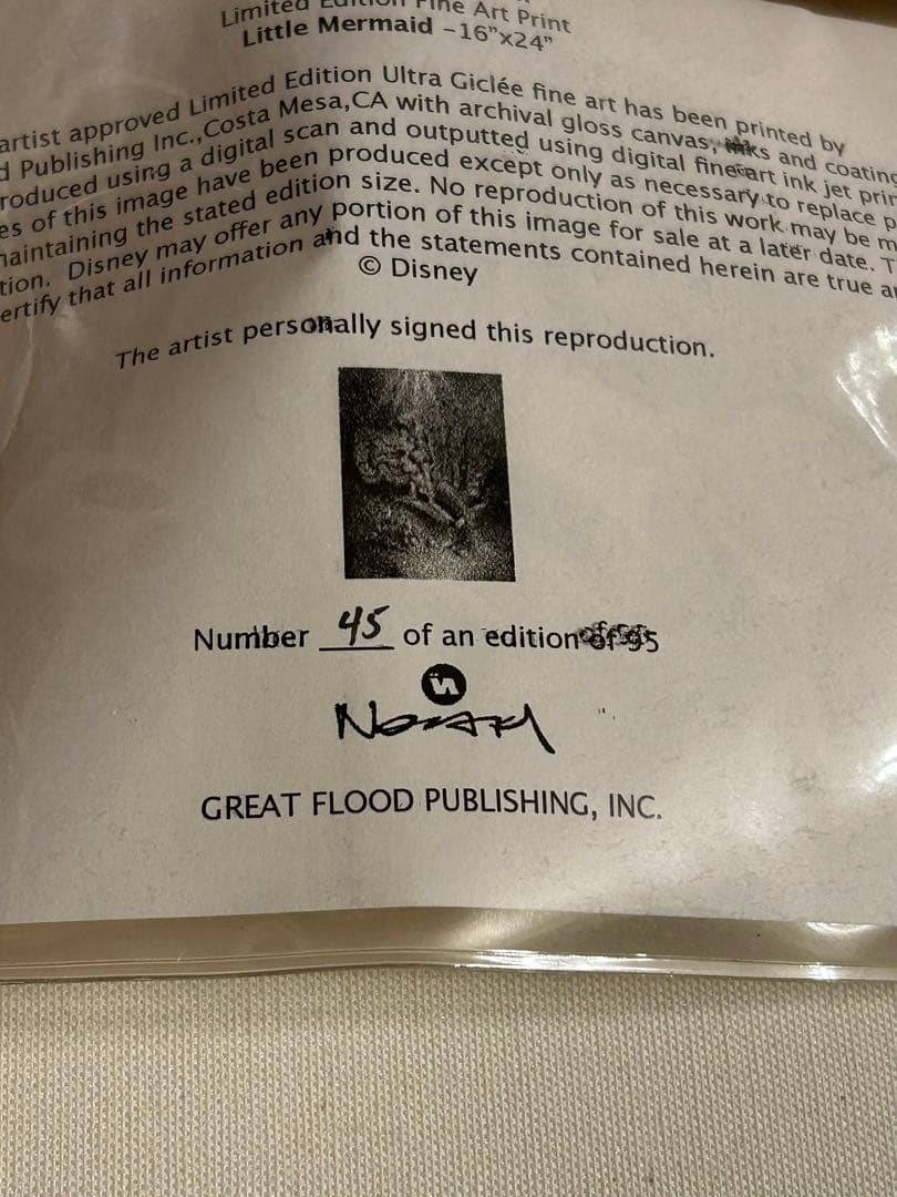 ディズニー　リトルマーメイド　ジグレー　45/95