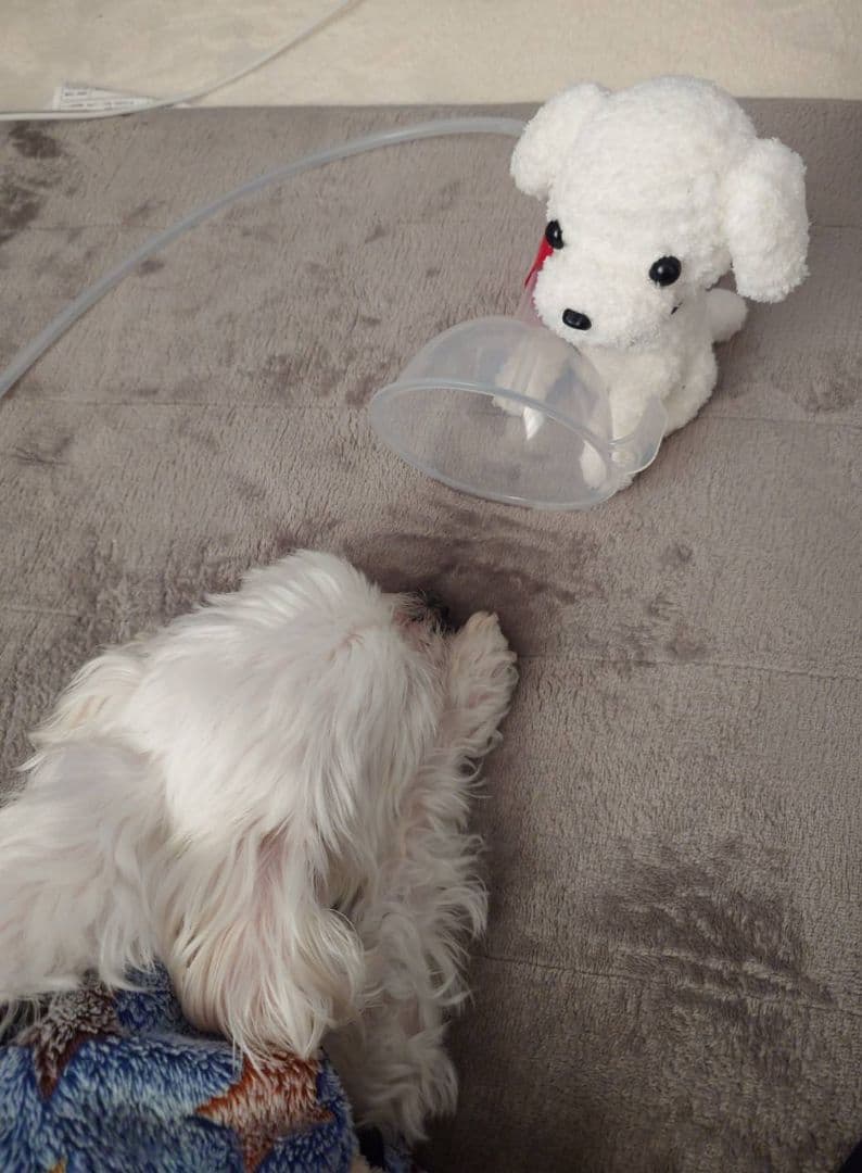 【Masterkk37専用】高性能酸素濃縮器　本体のみ