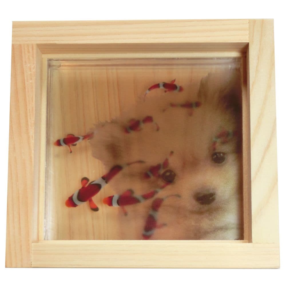 ポメラニアン 犬 イヌ いぬ クマノミ ぽぽち ペット 動物 アート プレゼント