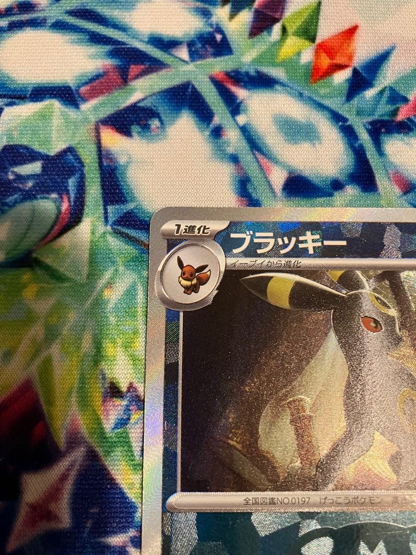 ブラッキー　マスターボールミラー　テラスタルフェスex