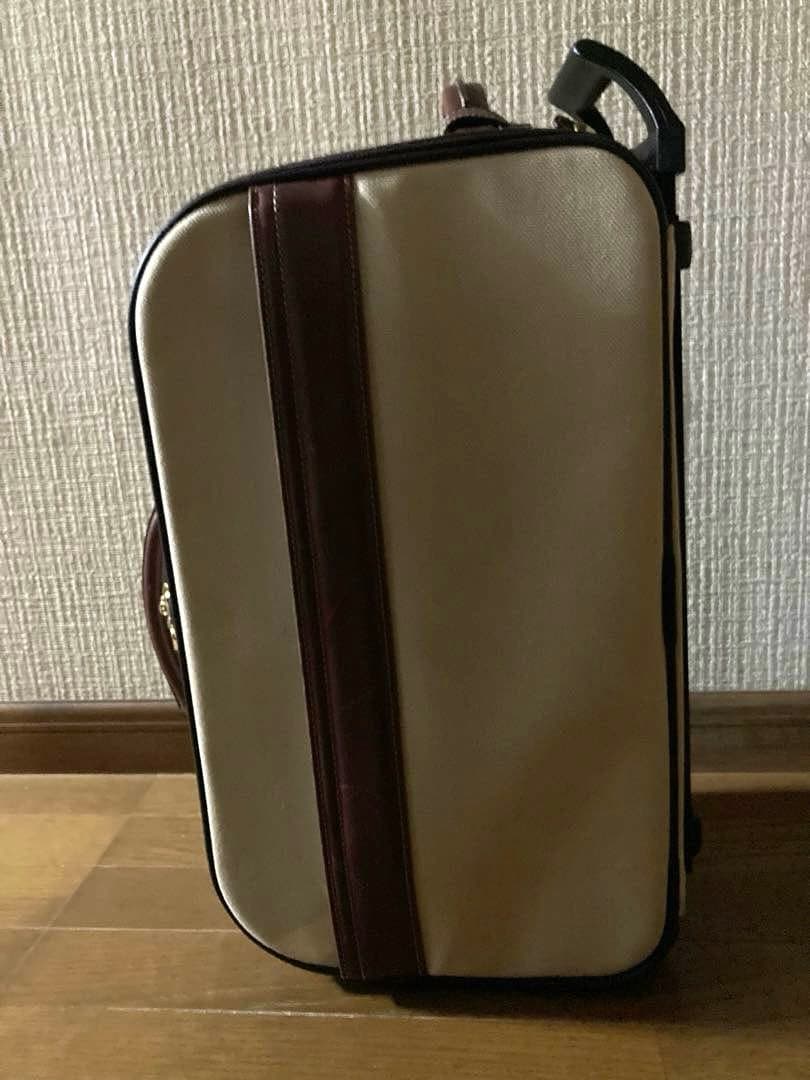 布製キャリーバッグ