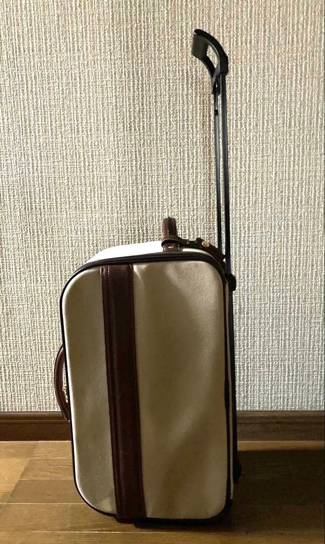 布製キャリーバッグ