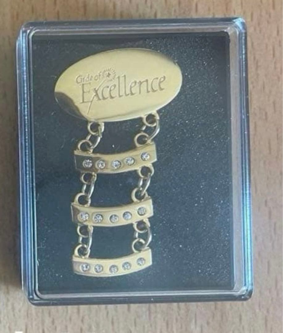 やまと❗️2個セット　ニュースキン エグゼクティブ維持15年20年ラペルピン