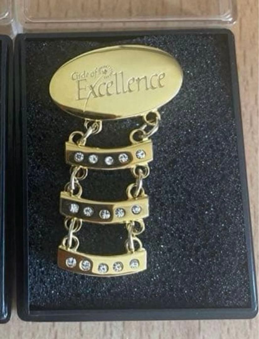 やまと❗️2個セット　ニュースキン エグゼクティブ維持15年20年ラペルピン