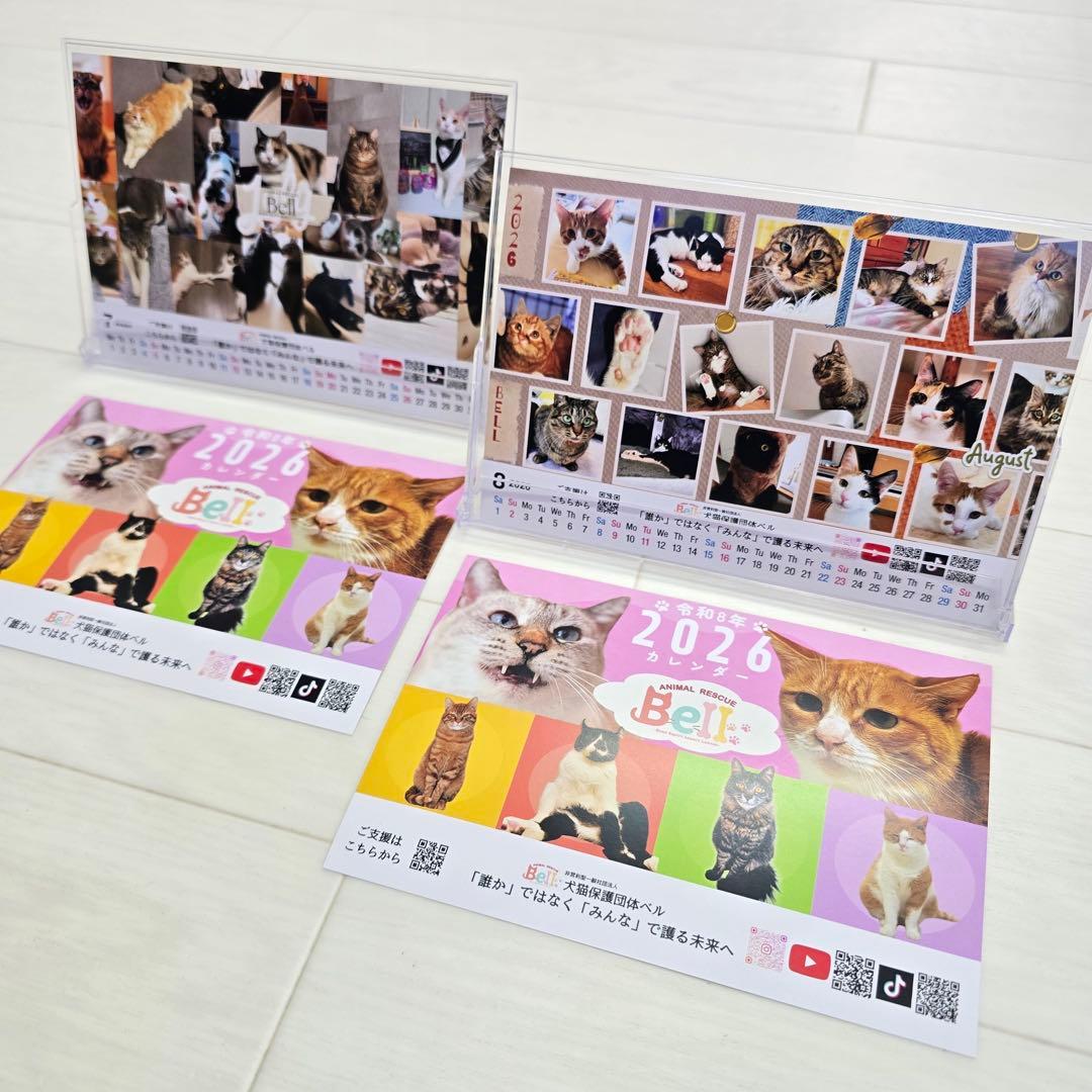 ①《猫》 卓上チャリティーカレンダー10枚セット